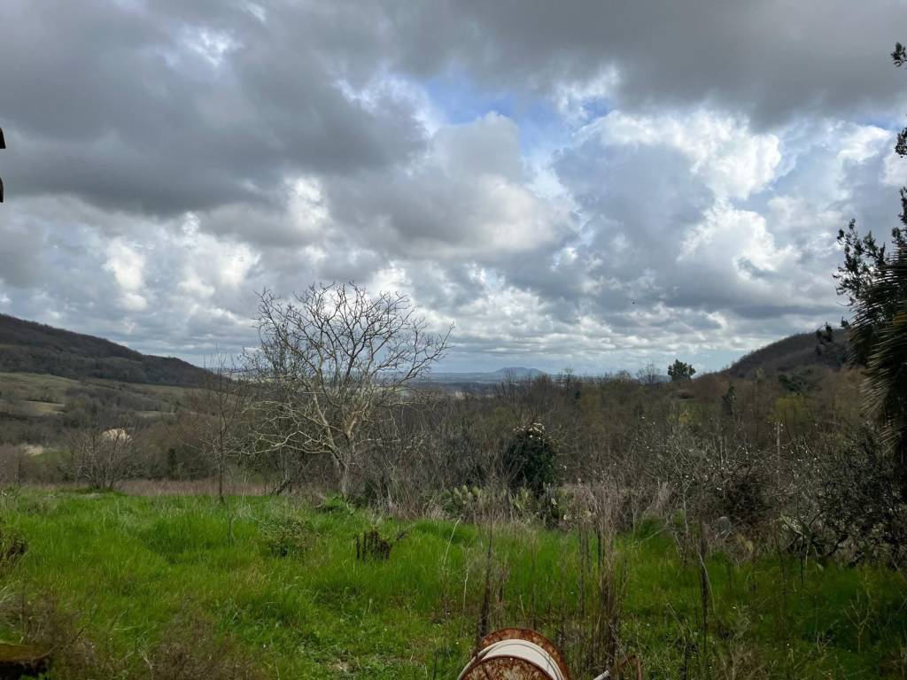 casa indipendente in vendita a Manciano