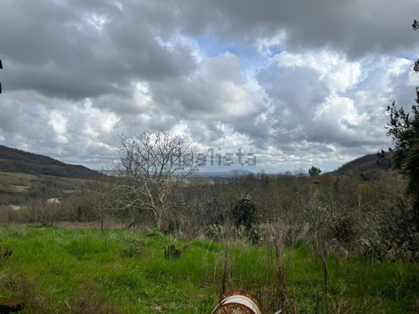 casa indipendente in vendita a Manciano