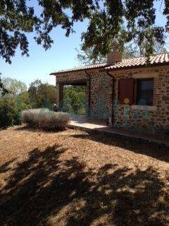 casa indipendente in vendita a Manciano