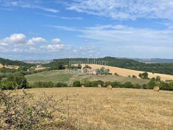 casa indipendente in vendita a Manciano in zona Saturnia