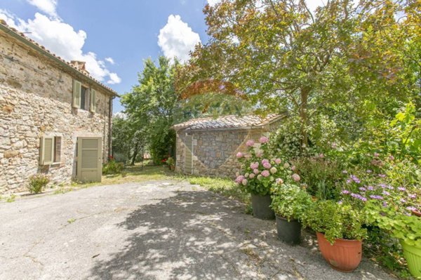 casa indipendente in vendita a Manciano in zona Montemerano