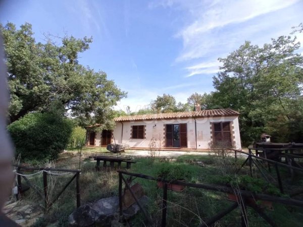 casa indipendente in vendita a Manciano in zona Poggio Murella