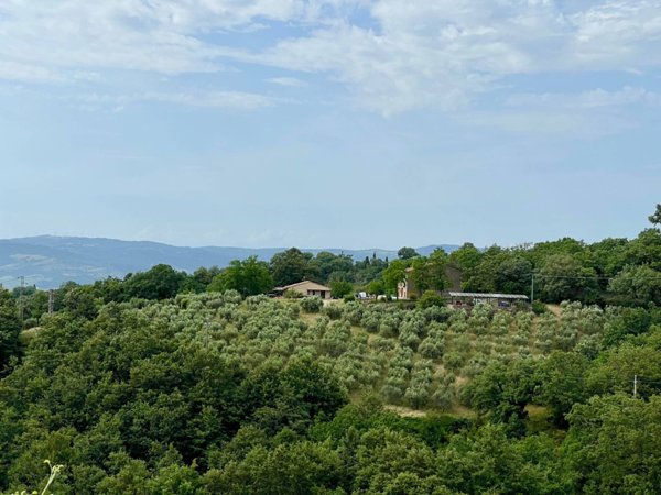 casa indipendente in vendita a Manciano