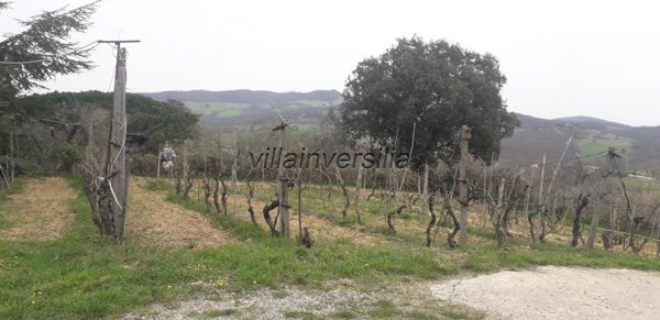 casa indipendente in vendita a Manciano