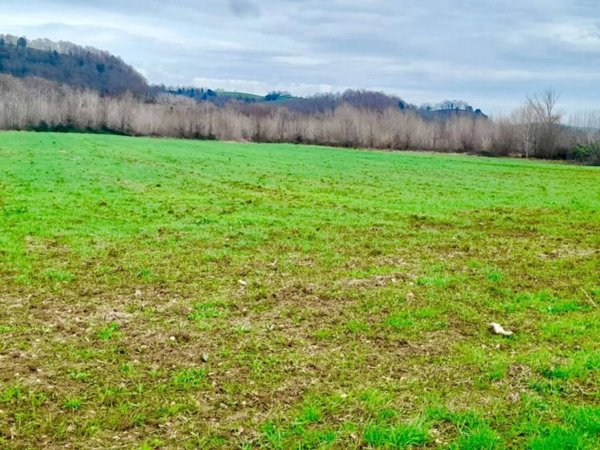 terreno agricolo in vendita a Manciano