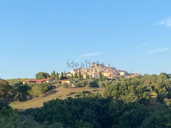 casa indipendente in vendita a Manciano in zona Saturnia