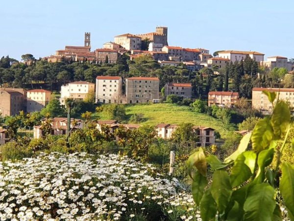 casa indipendente in vendita a Manciano in zona Montemerano