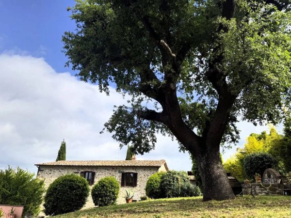 casa indipendente in vendita a Manciano in zona Montemerano