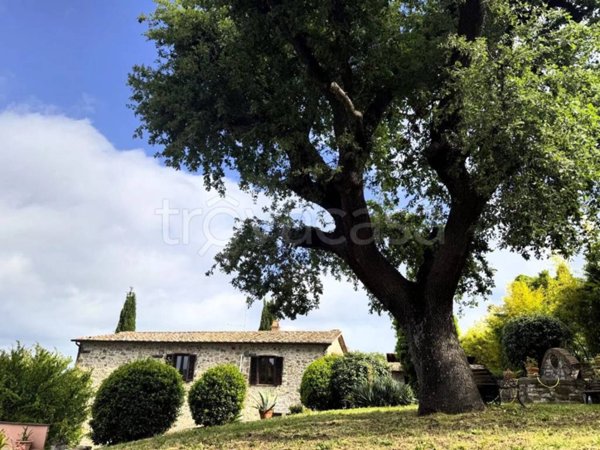 casa indipendente in vendita a Manciano in zona Montemerano