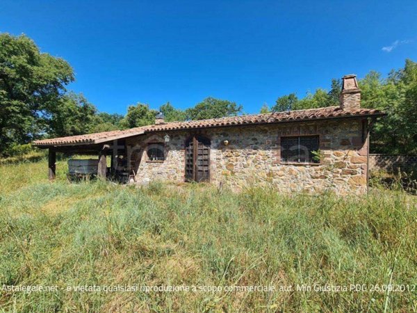 casa indipendente in vendita a Manciano