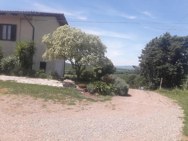 appartamento in vendita a Manciano