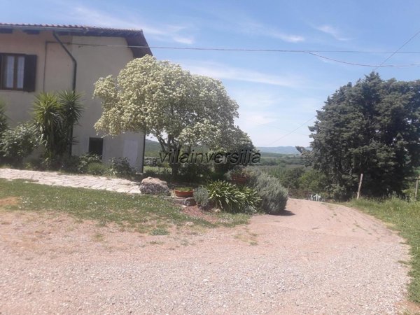 appartamento in vendita a Manciano