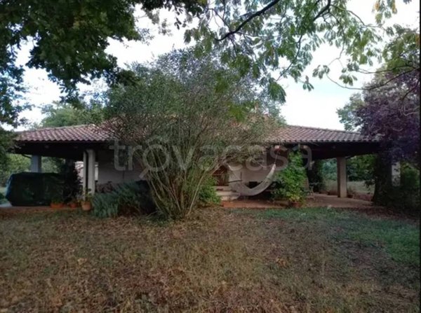 casa indipendente in vendita a Manciano in zona Saturnia