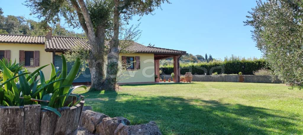 casa indipendente in vendita a Manciano in zona Marsiliana