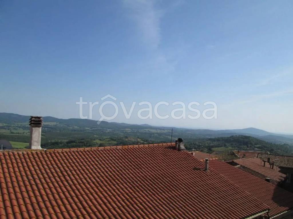 appartamento in vendita a Manciano