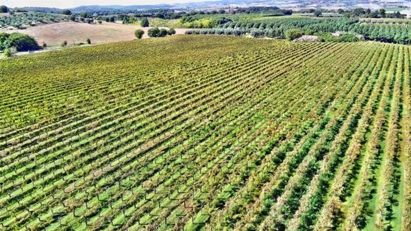 appartamento in vendita a Manciano in zona Montemerano