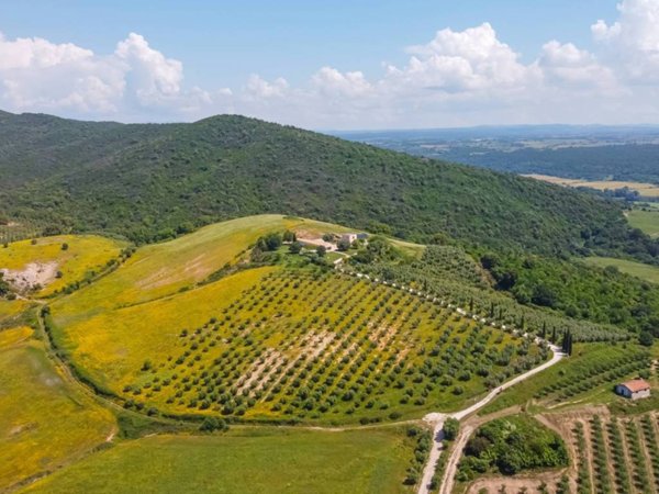 casa indipendente in vendita a Manciano
