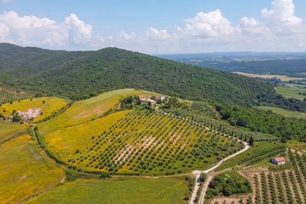casa indipendente in vendita a Manciano