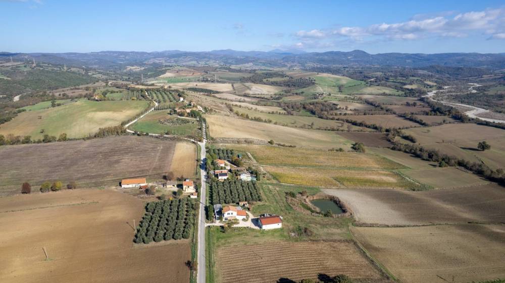 azienda agricola in vendita a Manciano in zona Montemerano