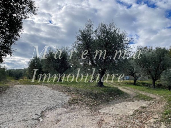 terreno agricolo in vendita a Manciano in zona Montemerano