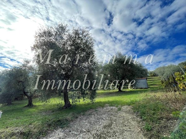 terreno agricolo in vendita a Manciano in zona Montemerano