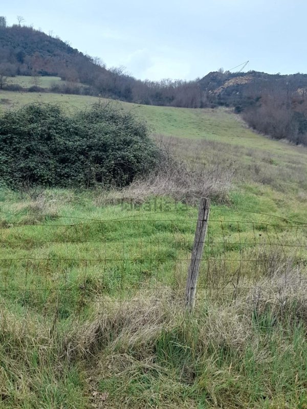 capannone in vendita a Manciano
