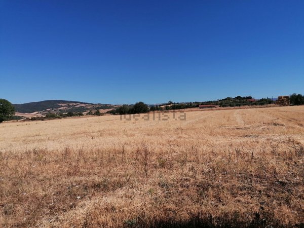 locale di sgombero in vendita a Manciano