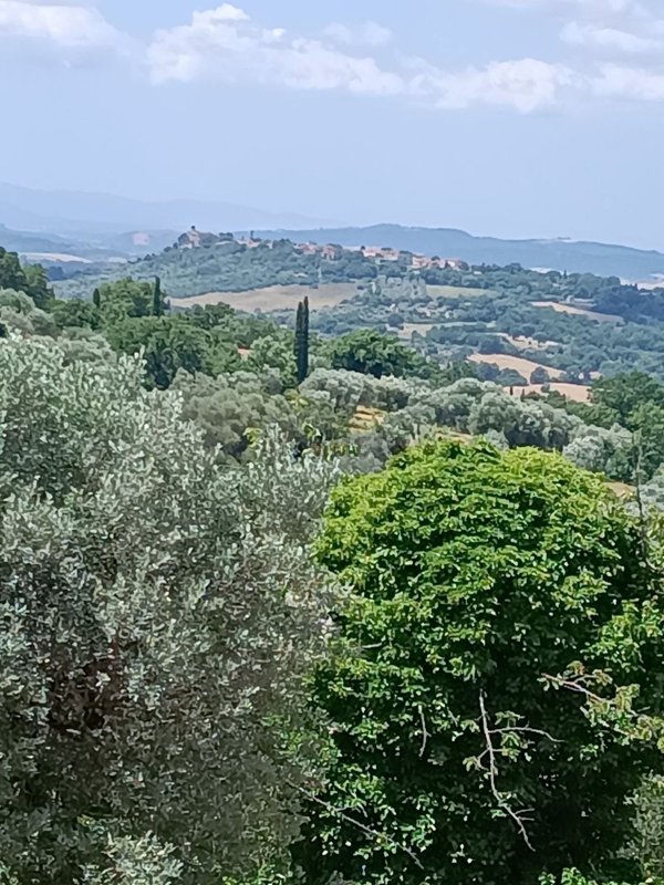 terreno agricolo in vendita a Manciano in zona Capanne