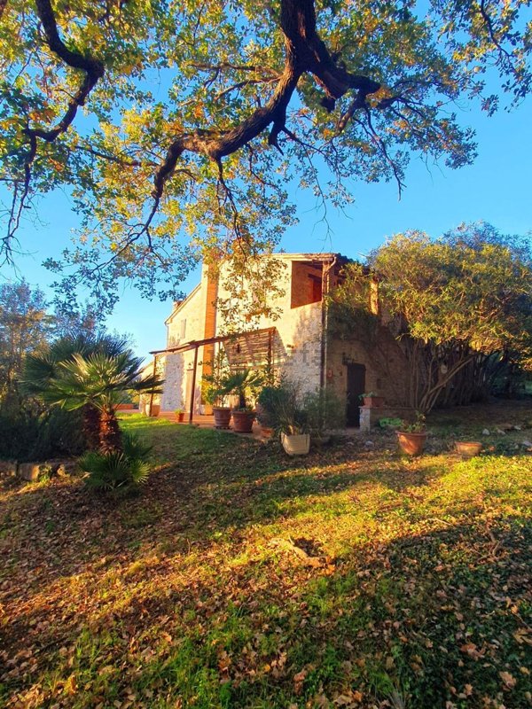 appartamento in vendita a Manciano