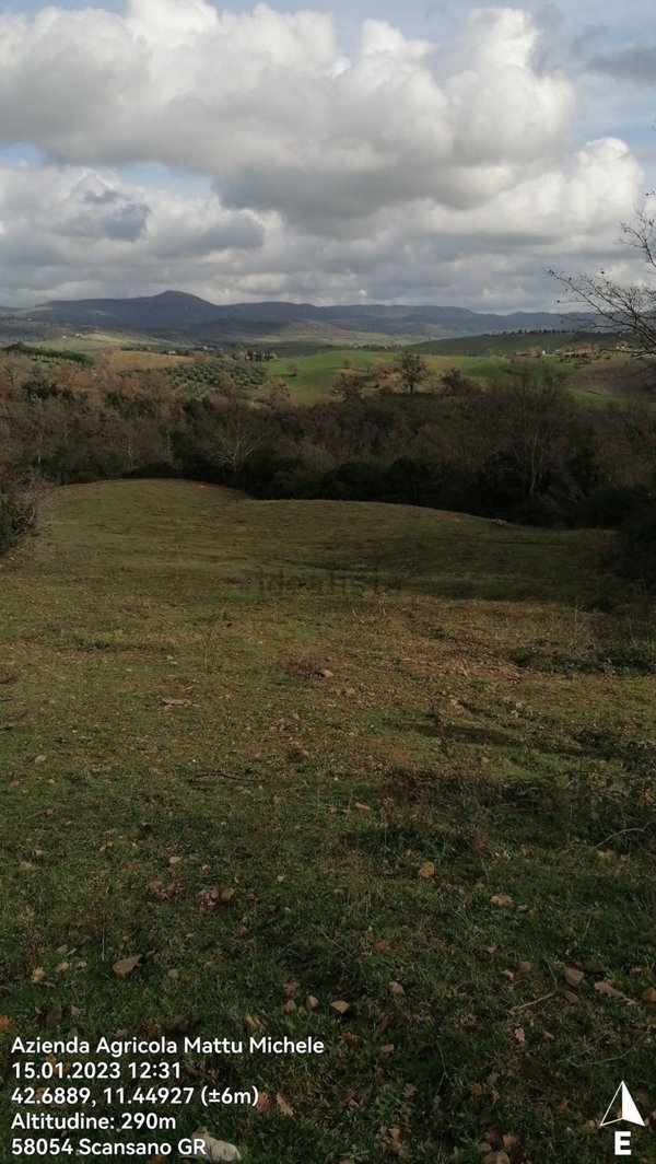 terreno agricolo in vendita a Manciano