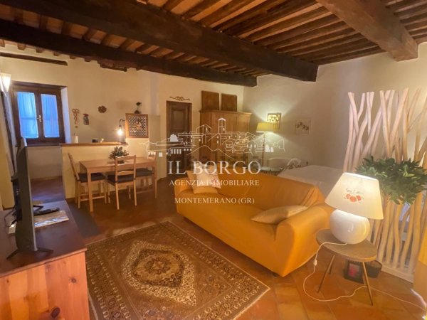appartamento in vendita a Manciano in zona Montemerano