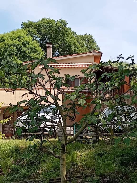 casa indipendente in vendita a Manciano in zona Montemerano