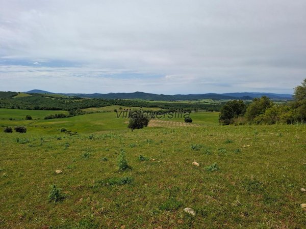 terreno agricolo in vendita a Manciano in zona Marsiliana