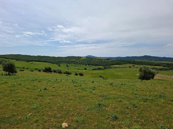 appartamento in vendita a Manciano in zona Saturnia