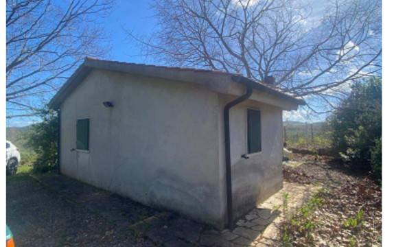 appartamento in vendita a Manciano