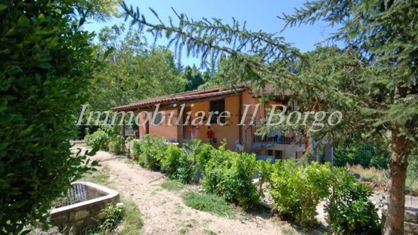 casa indipendente in vendita a Manciano in zona Montemerano