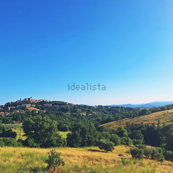 appartamento in vendita a Manciano