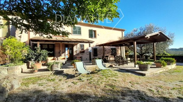 appartamento in vendita a Manciano