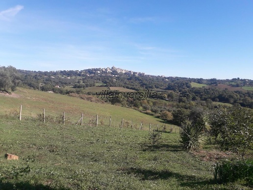 casale in vendita a Manciano