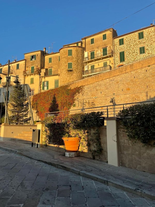 appartamento in vendita a Manciano