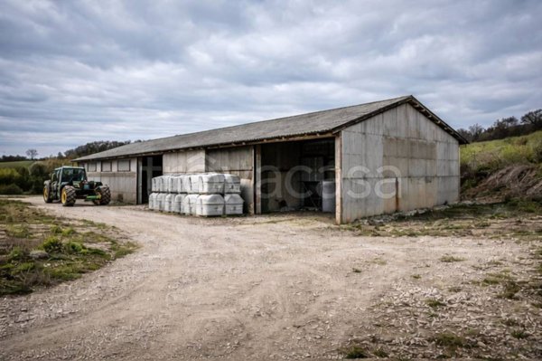 locale di sgombero in vendita a Manciano in zona Poggio Murella