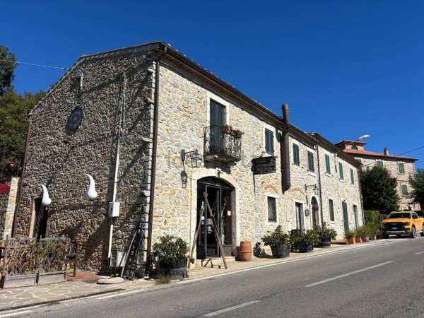 pentavano in vendita a Manciano in zona Montemerano