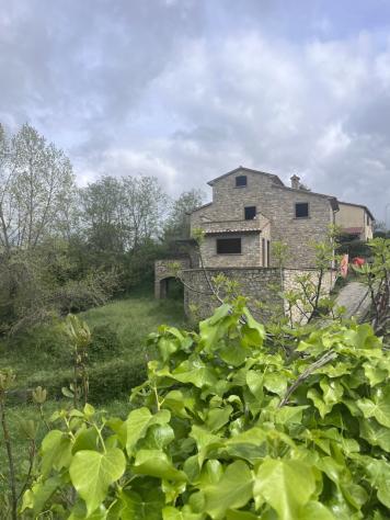 casa indipendente in vendita a Manciano in zona Saturnia