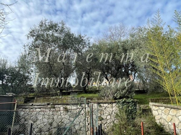 appartamento in vendita a Manciano