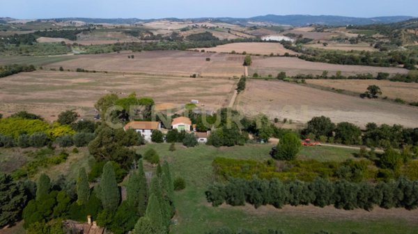 esavano in vendita a Manciano