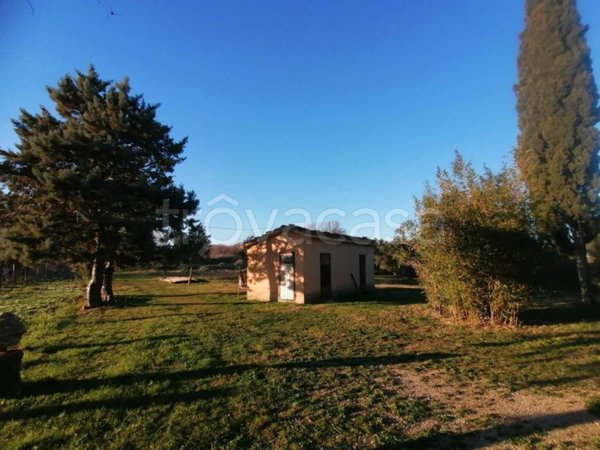 casa indipendente in vendita a Manciano in zona Saturnia