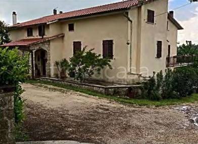 casa indipendente in vendita a Manciano in zona Poggio Murella