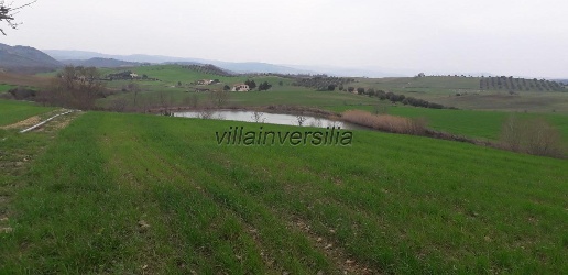 appartamento in vendita a Manciano