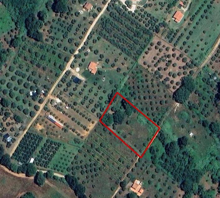 casa indipendente in vendita a Manciano