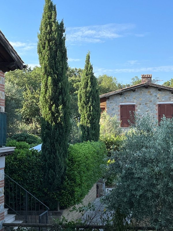 appartamento in vendita a Manciano in zona Poggio Murella